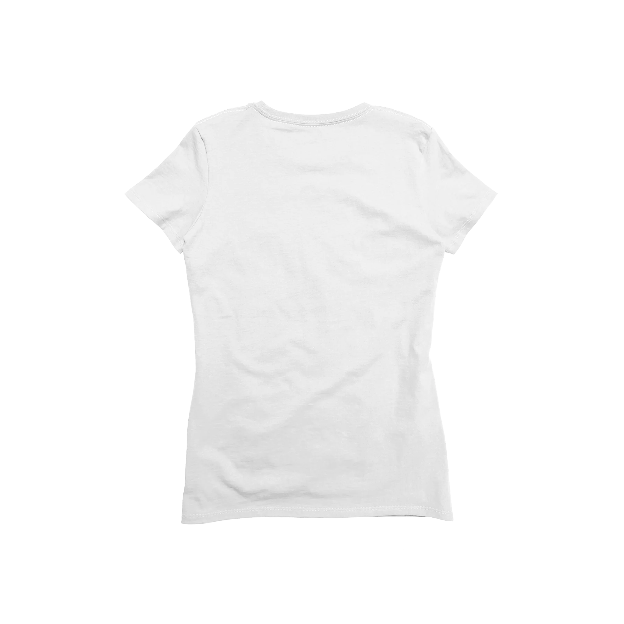 Ladies Premium Cotton Short Sleeve V-Neck Tee (Last Chance) - Image 6